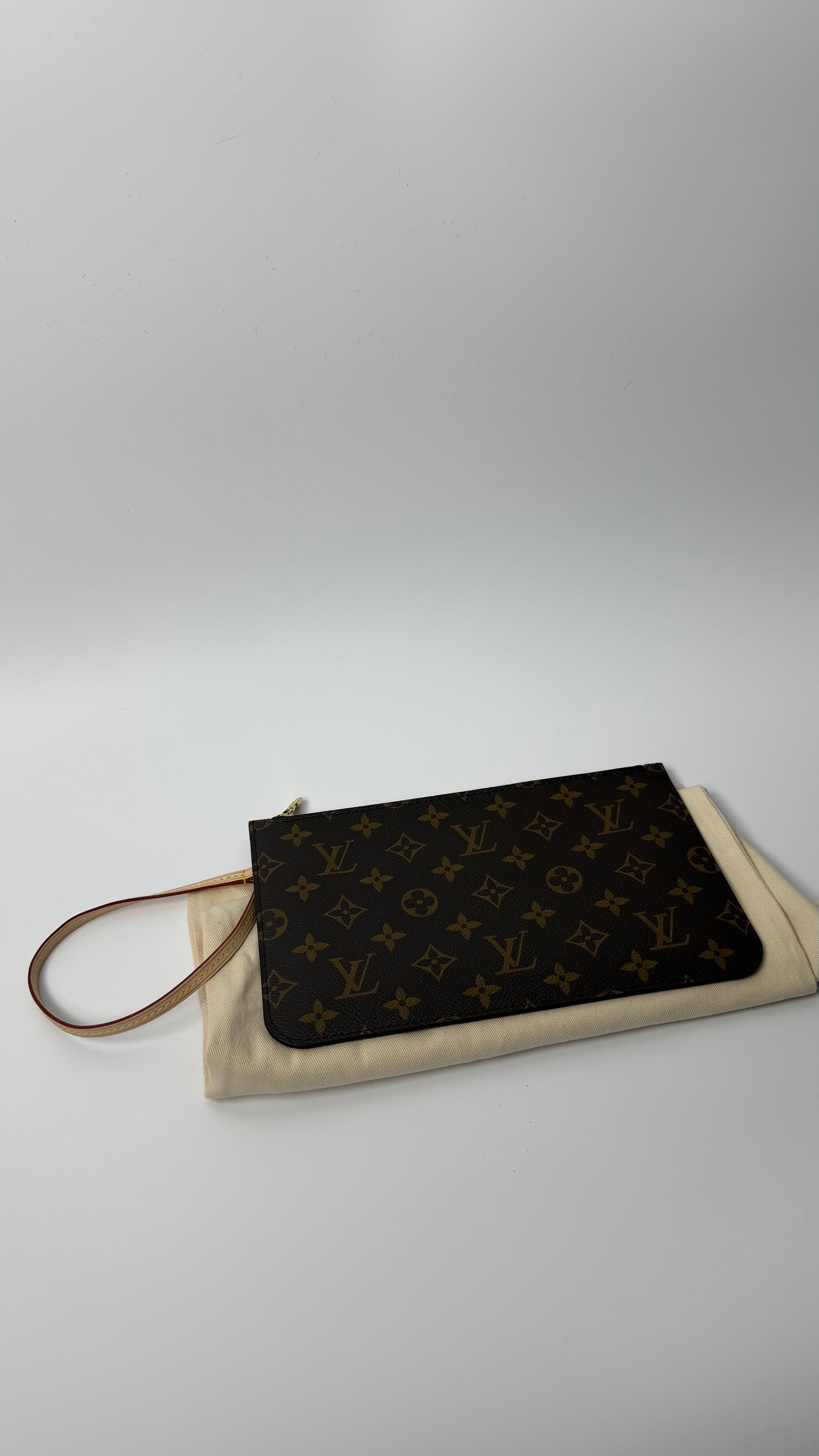 Louis Vuitton Pouch