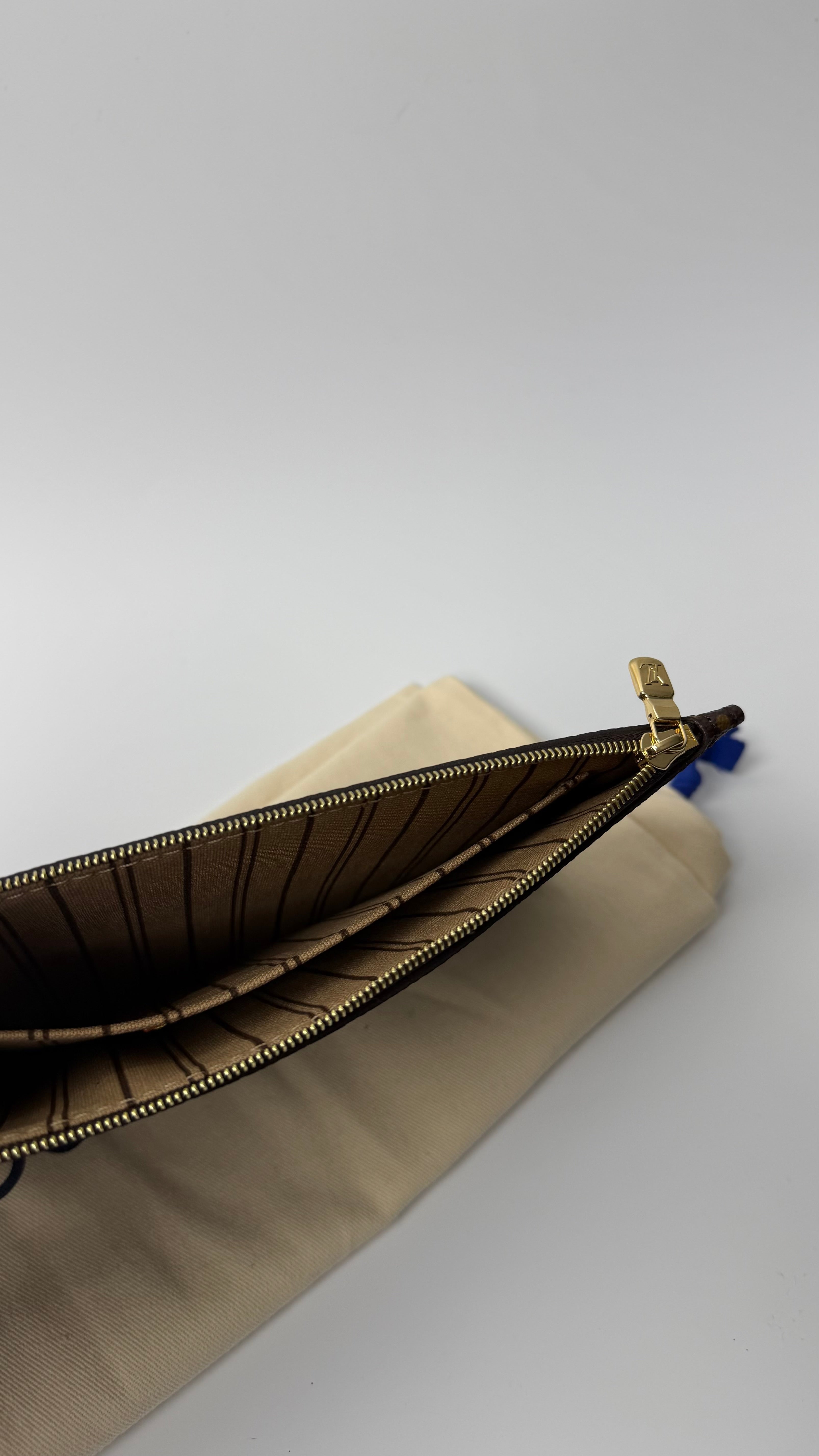 Louis Vuitton Pouch