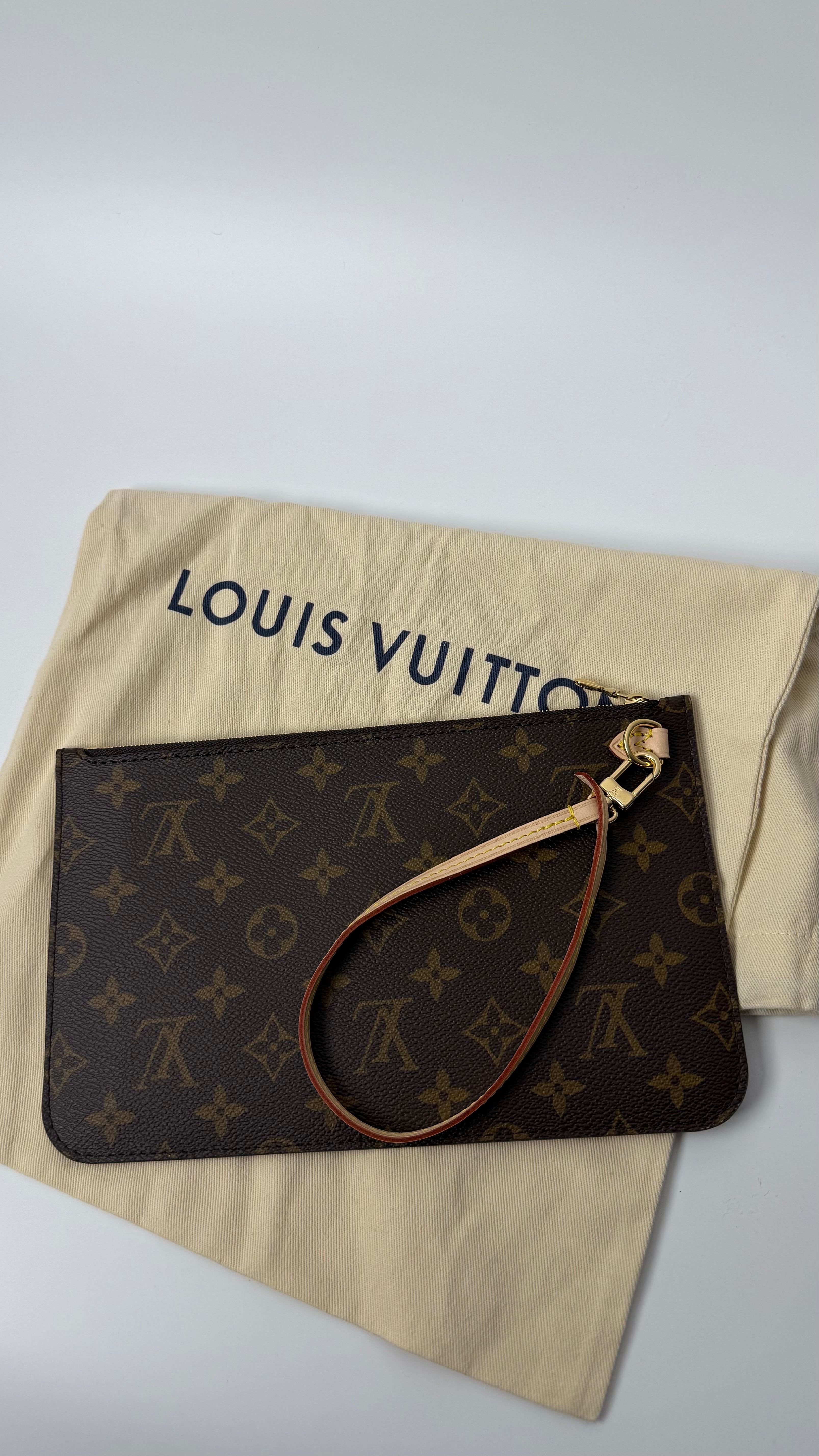 Louis Vuitton Pouch