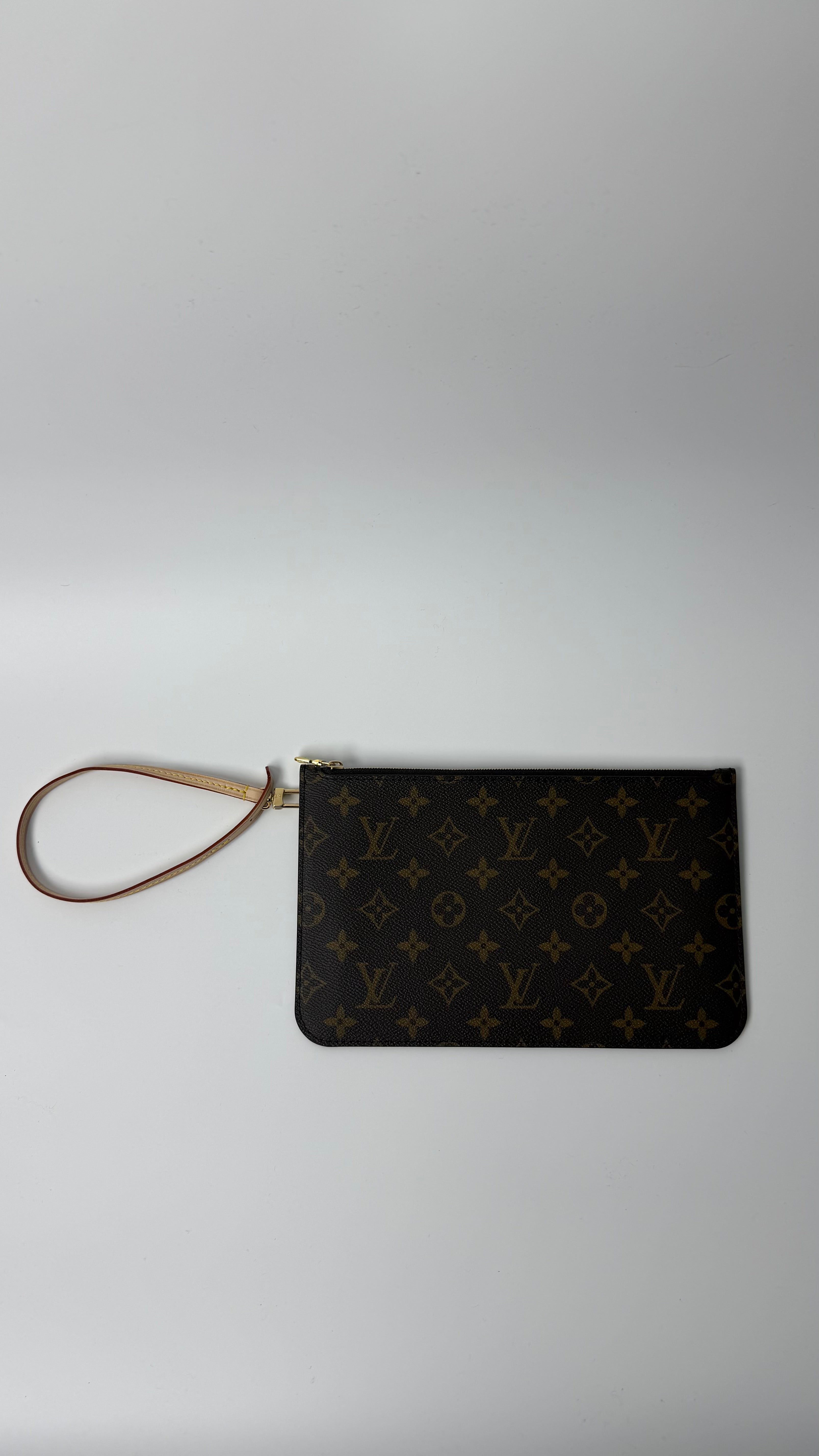 Louis Vuitton Pouch