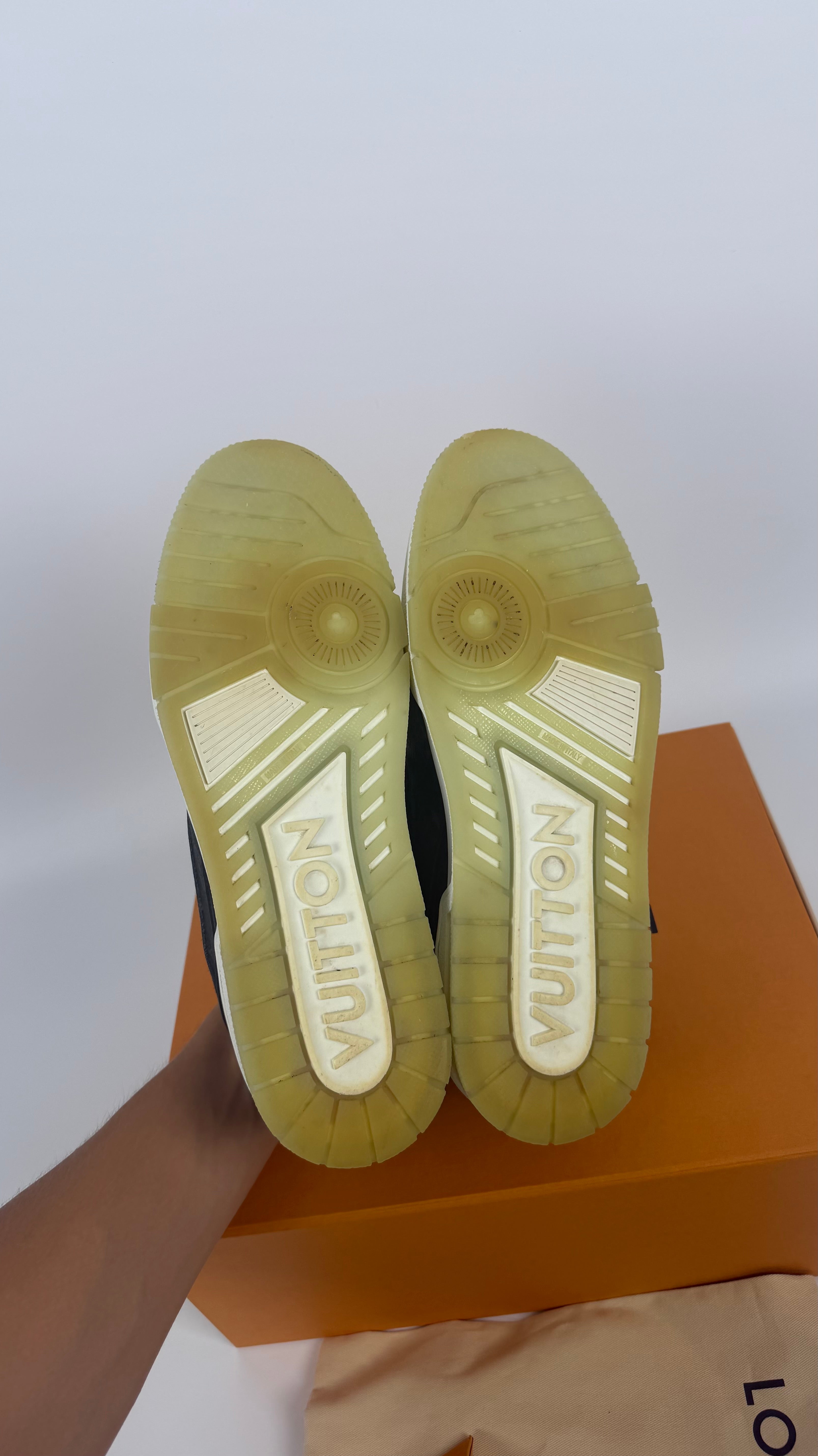 Louis Vuitton Monogram Trainers (43)