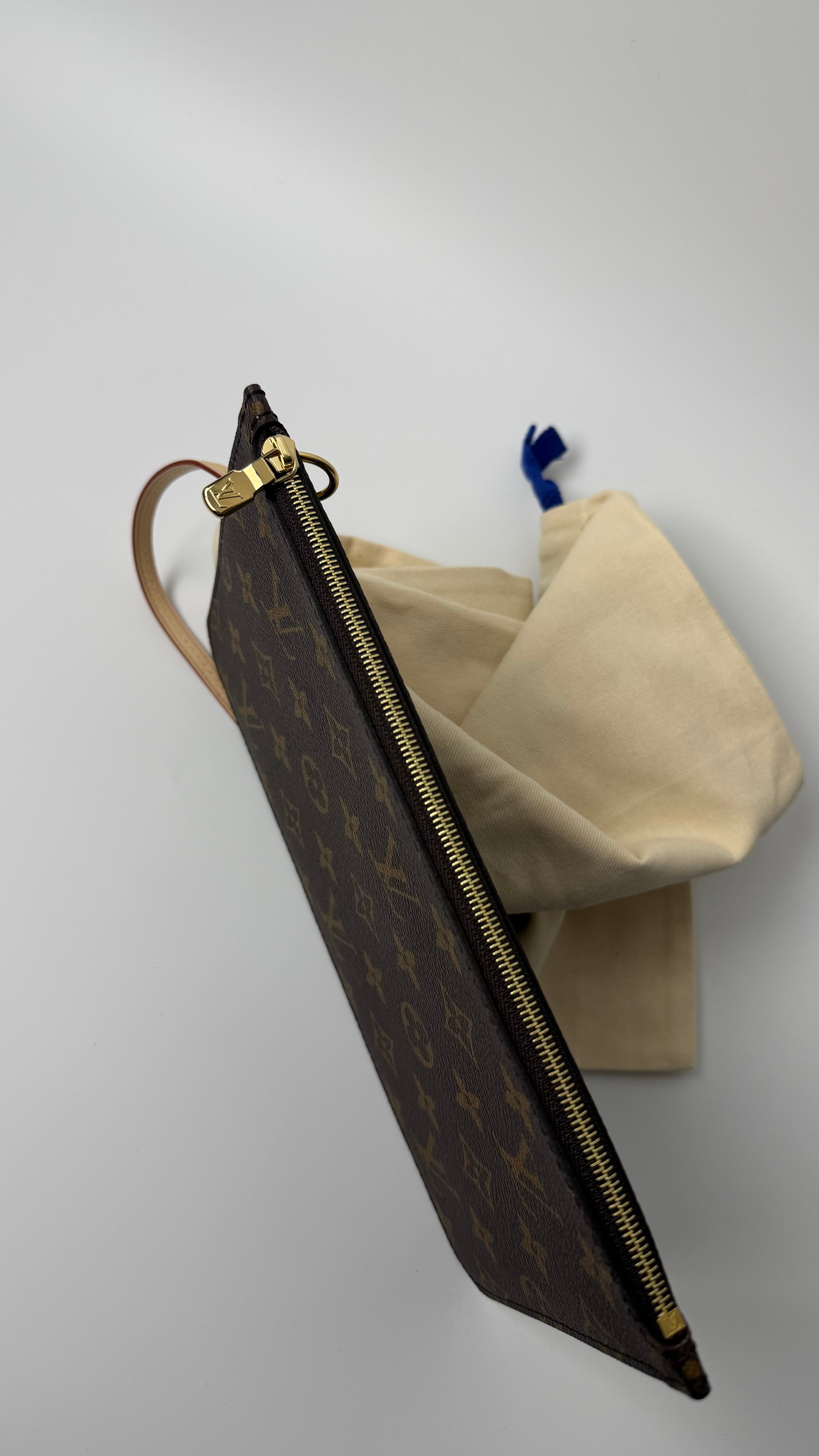 Louis Vuitton Pouch
