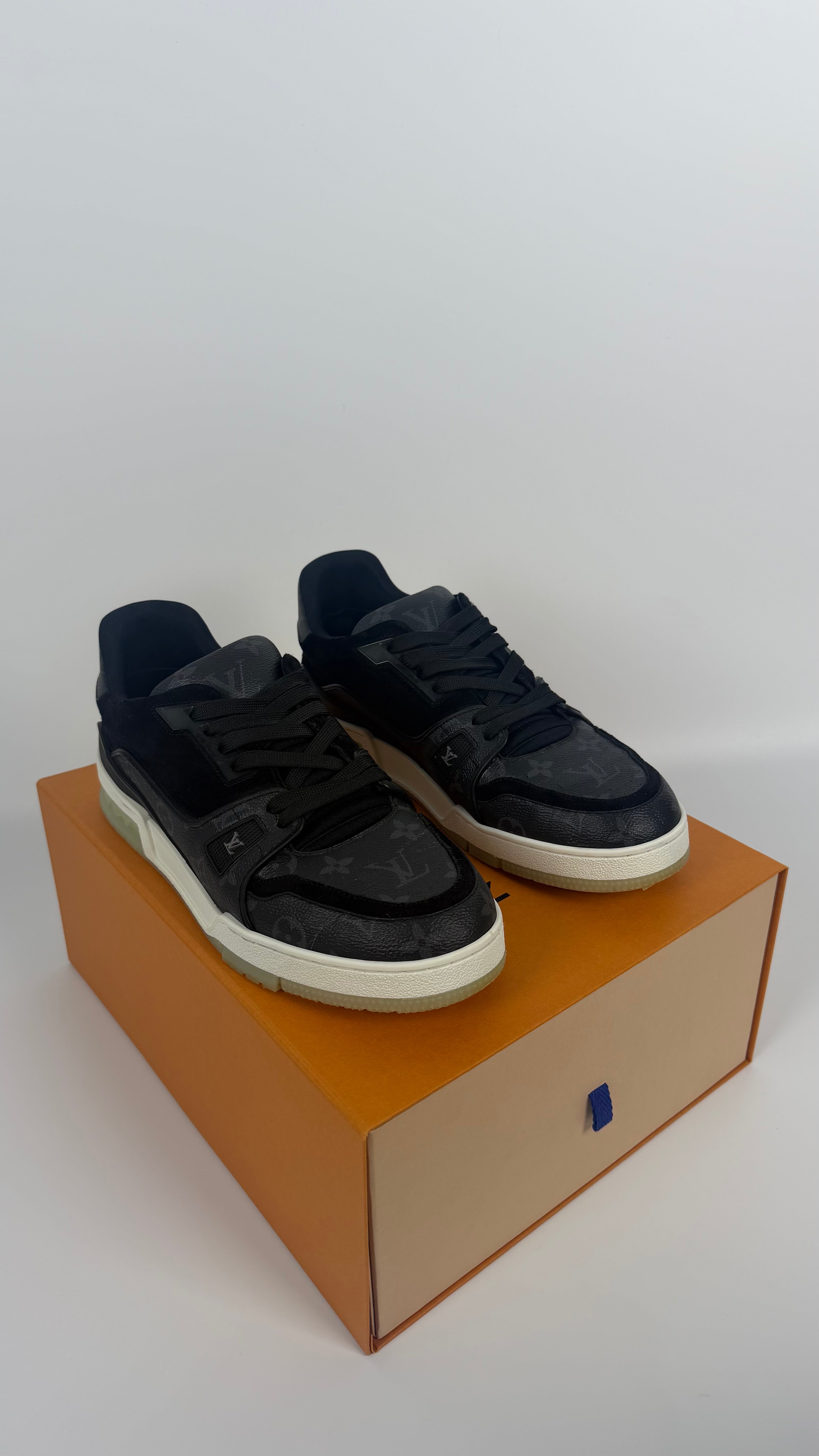 Louis Vuitton Monogram Trainers (43)
