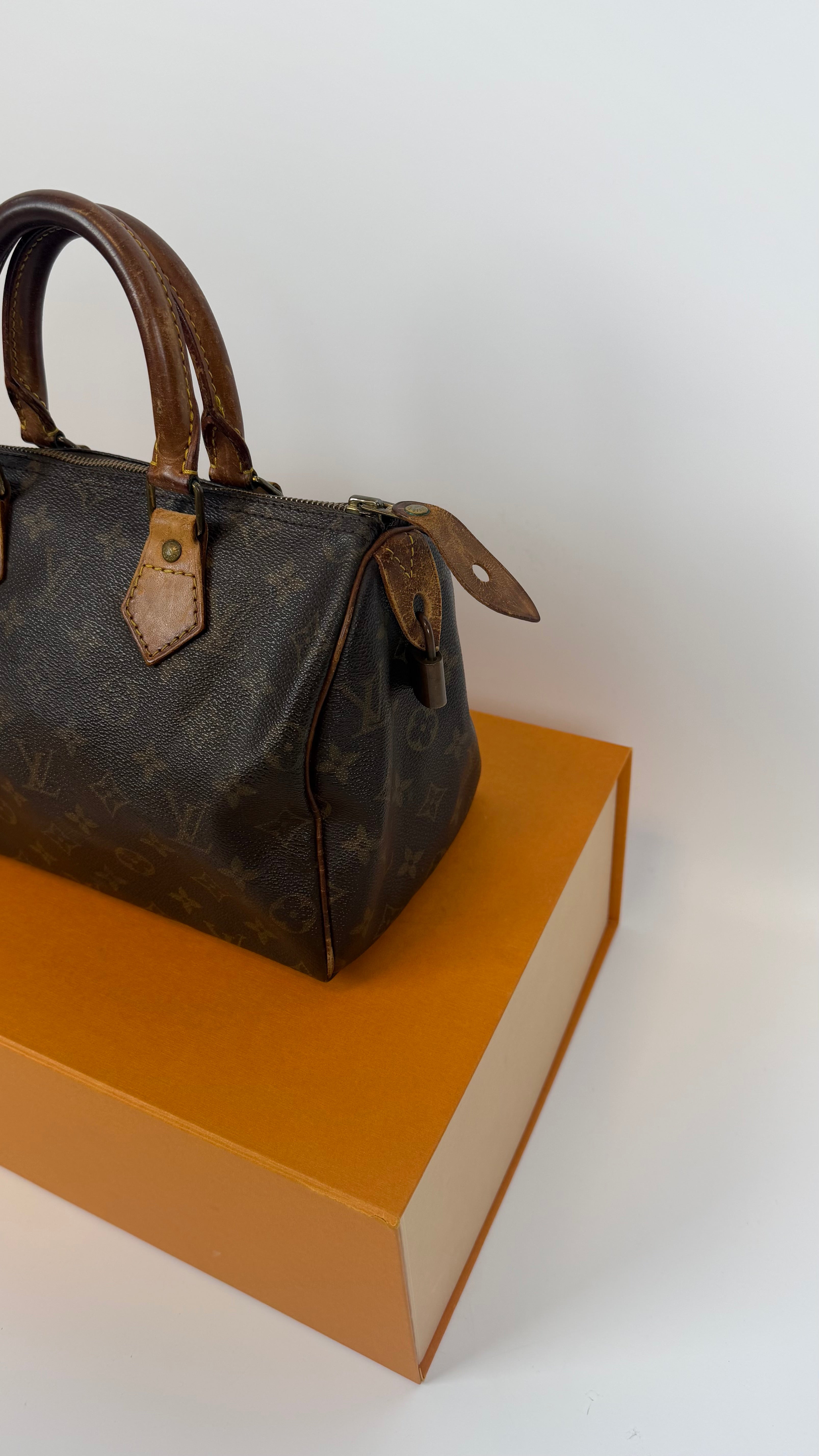 Louis Vuitton Speedy 25