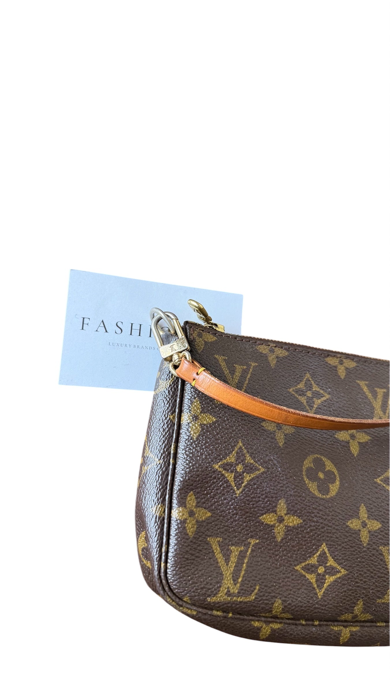 Louis Vuitton Pochette Accessoires