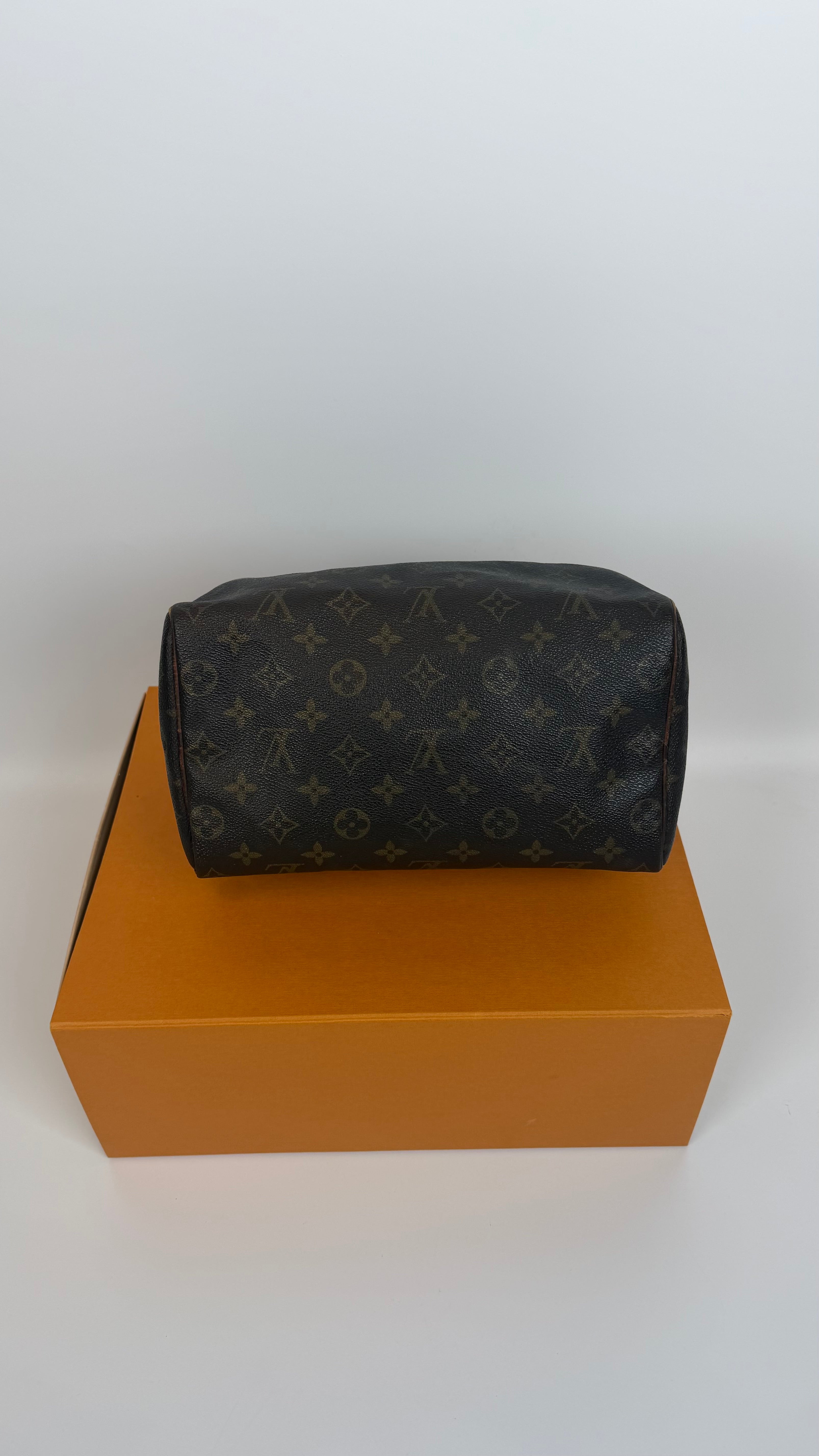 Louis Vuitton Speedy 25
