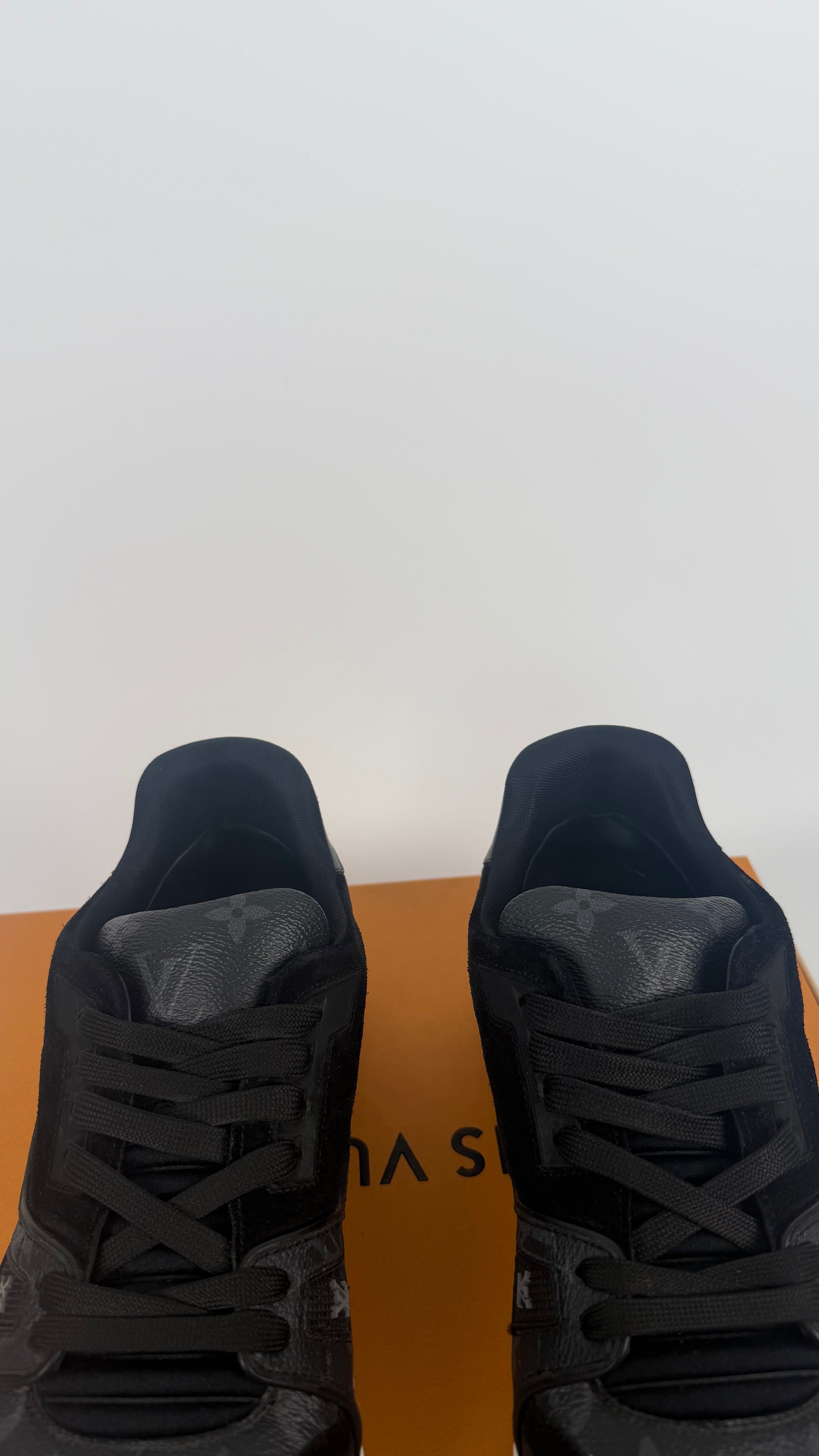Louis Vuitton Monogram Trainers (43)