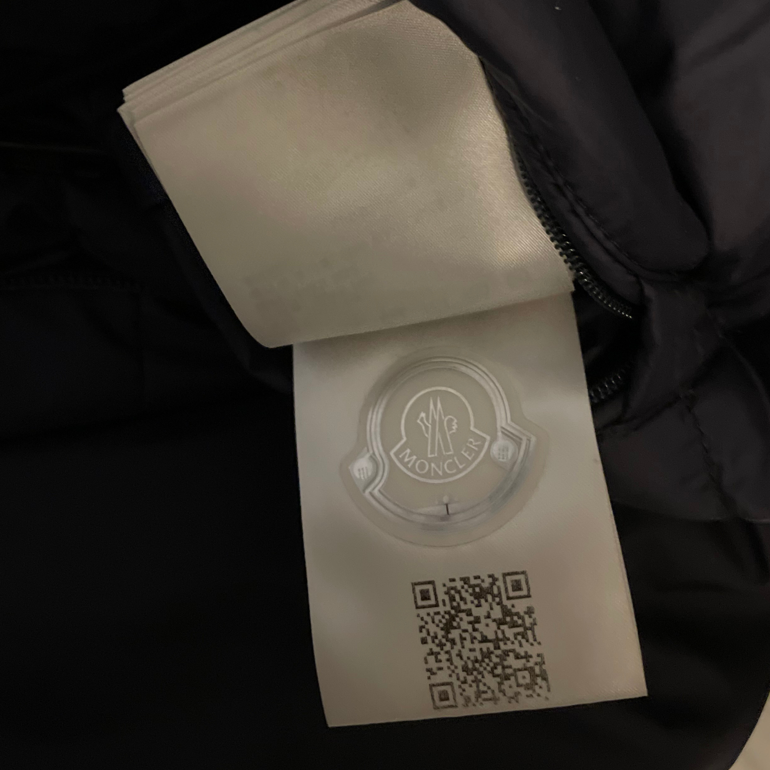 Moncler Melampyre Down Jacket / 2